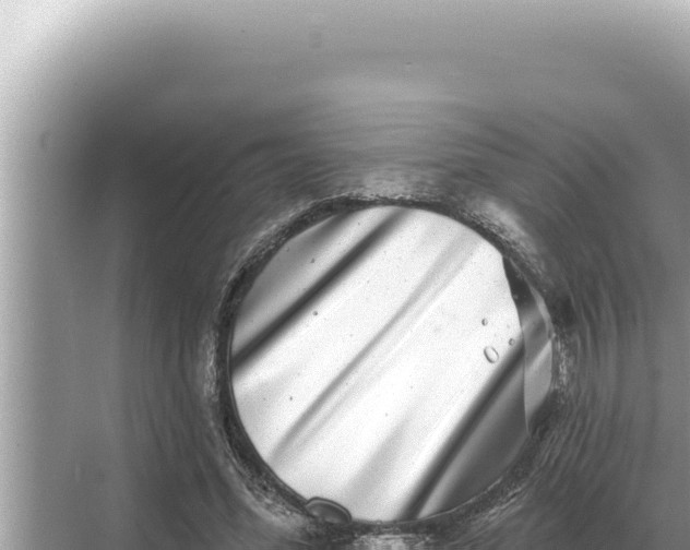 X0000068270588200605051817