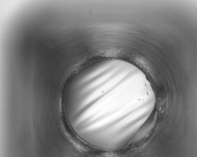 X0000068270589200605051817