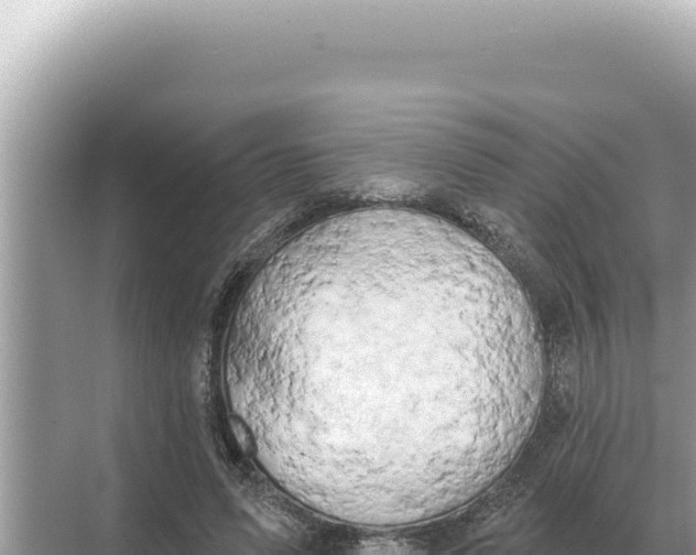 X0000068270591200605051817