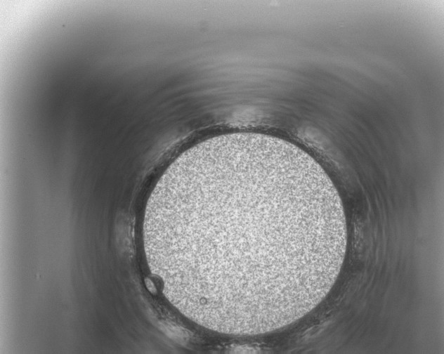 X0000068270592200605051817