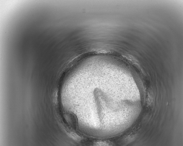 X0000068270596200605051817