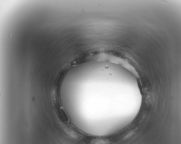 X0000068270597200605051817