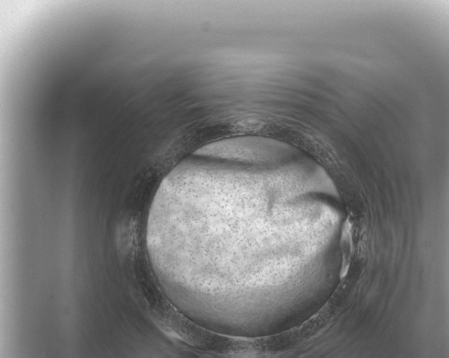 X0000068270598200605051817