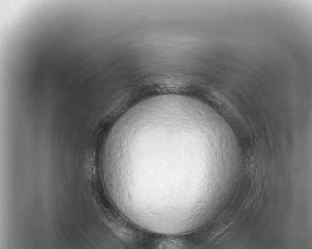 X0000068270599200605051817