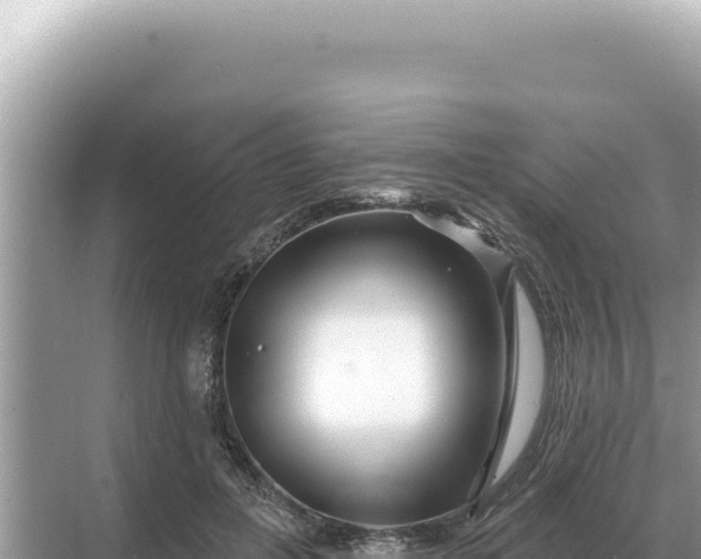 X0000068270600200605051817