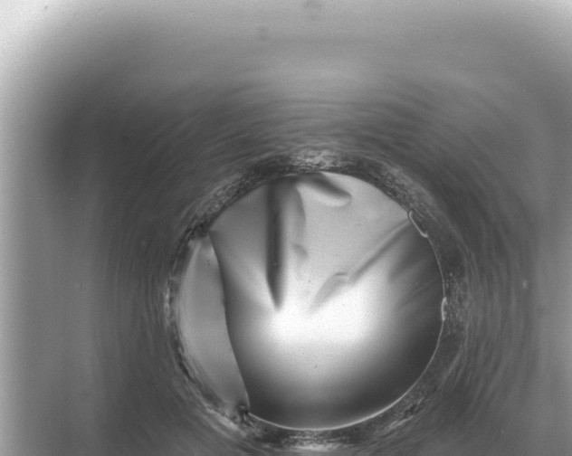 X0000068270601200605051817