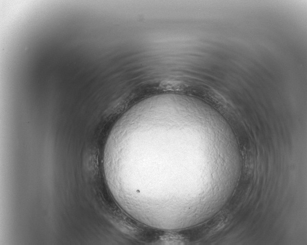 X0000068270603200605051817