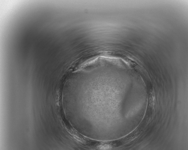 X0000068270604200605051817