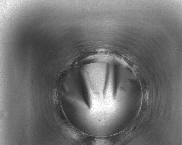 X0000068270605200605051817