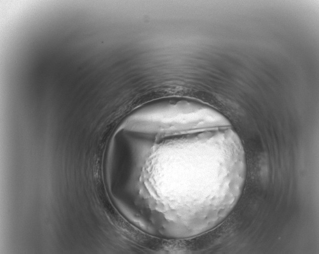 X0000068270606200605051817