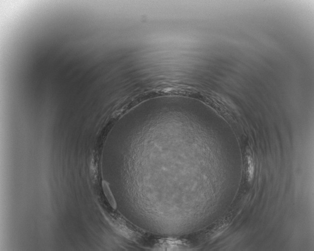 X0000068270607200605051817