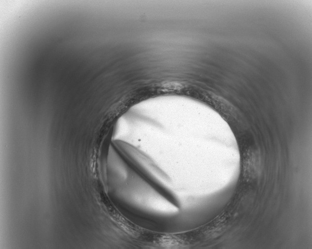 X0000068270608200605051817