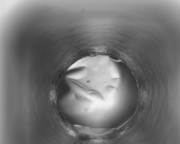 X0000068270609200605051817