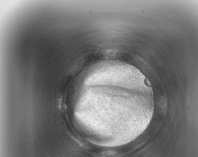 X0000068270610200605051817