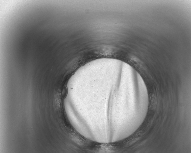 X0000068270612200605051817