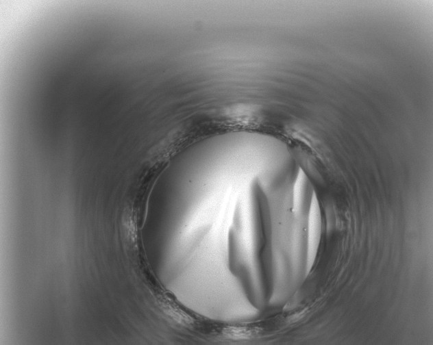 X0000068270613200605051817