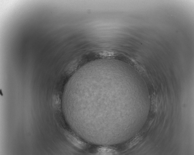 X0000068270614200605051817