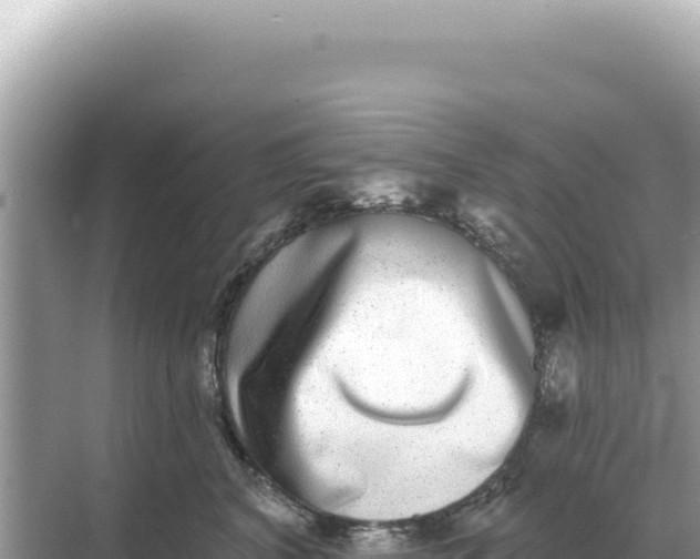 X0000068270616200605051817