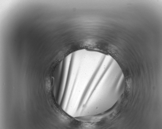 X0000068270617200605051817