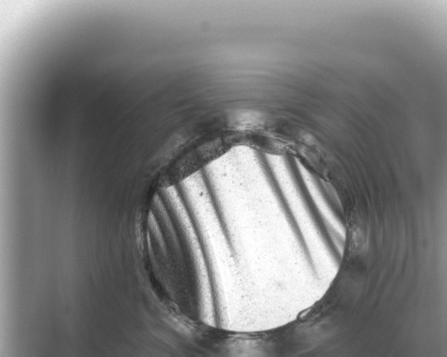 X0000068270620200605051816