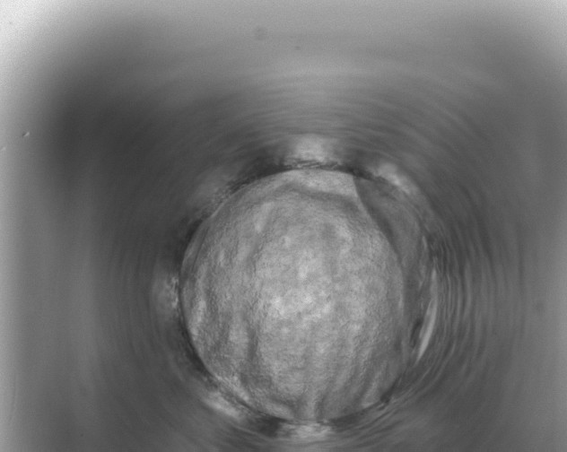 X0000068270621200605051816