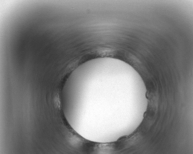 X0000068270622200605051816