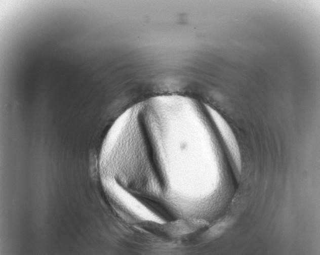 X0000068270624200605051816