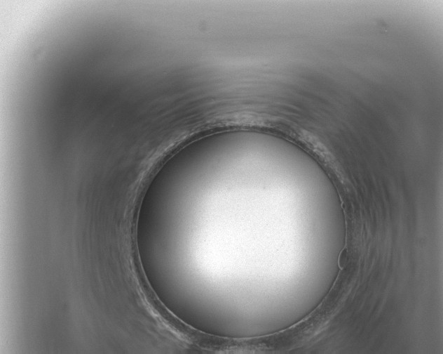 X0000068270625200605051816