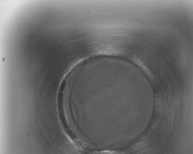 X0000068270626200605051816