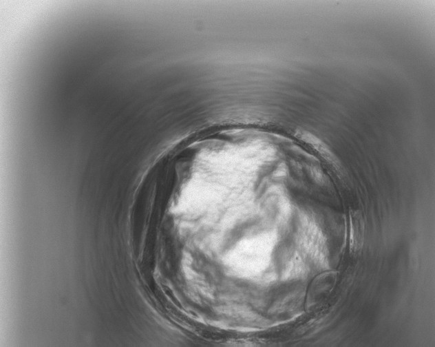 X0000068270627200605051816