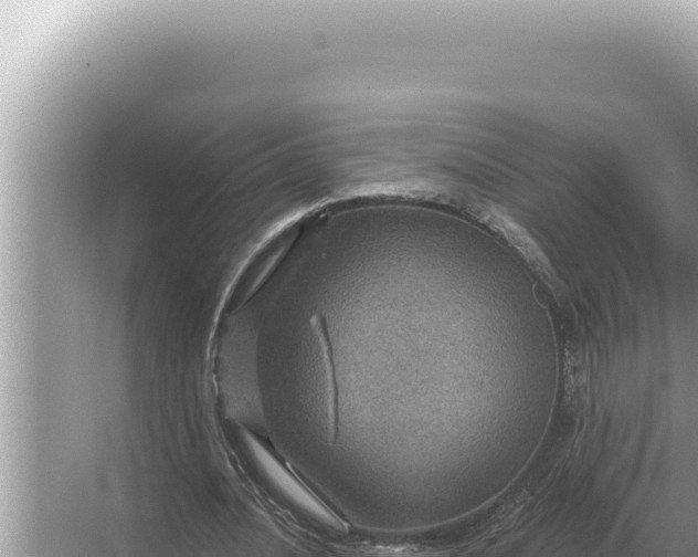 X0000068270628200605051816