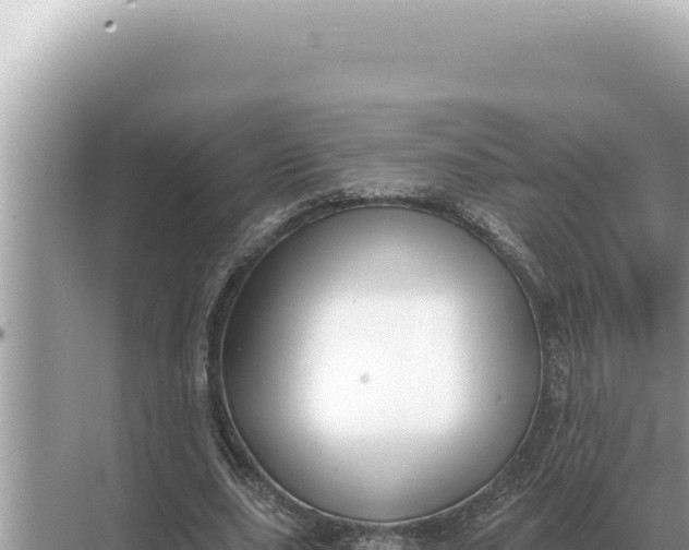 X0000068270631200605051816