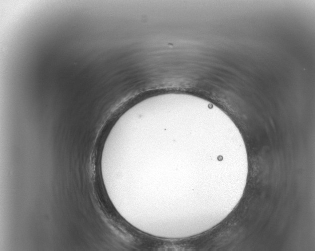 X0000068270632200605051816