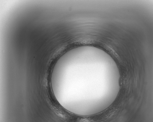 X0000068270635200605051816