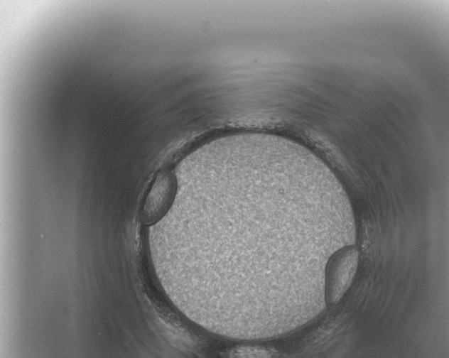 X0000068270636200605051816