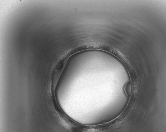 X0000068270637200605051816