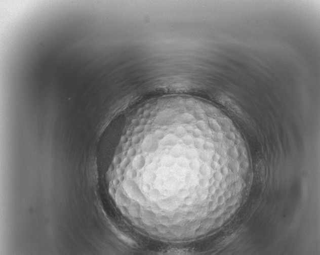 X0000068270638200605051816