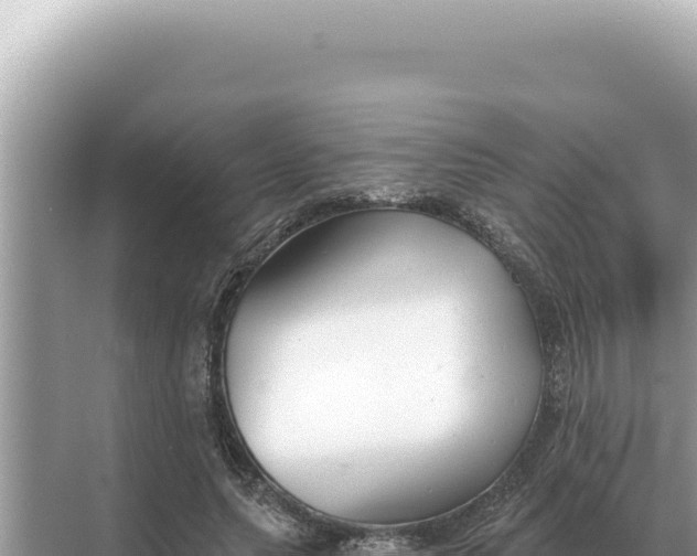 X0000068270639200605051816