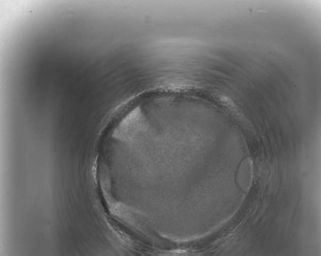 X0000068270640200605051816