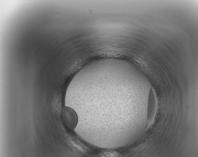 X0000068270642200605051816