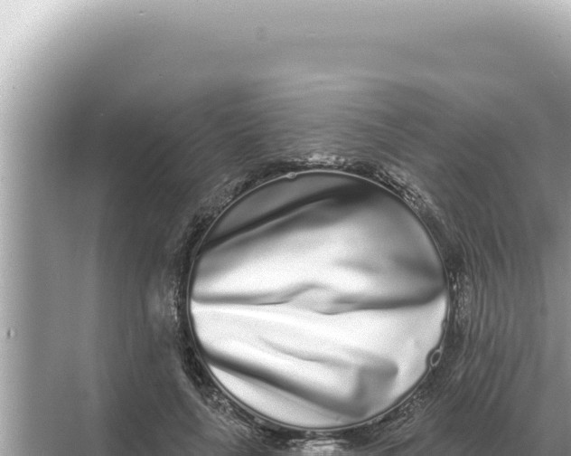 X0000068270643200605051816