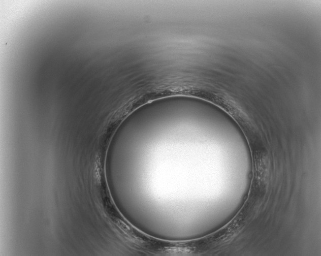 X0000068270644200605051816