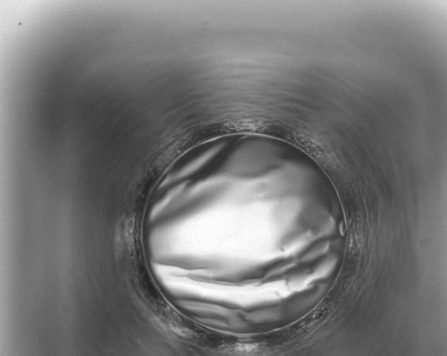 X0000068270647200605051816