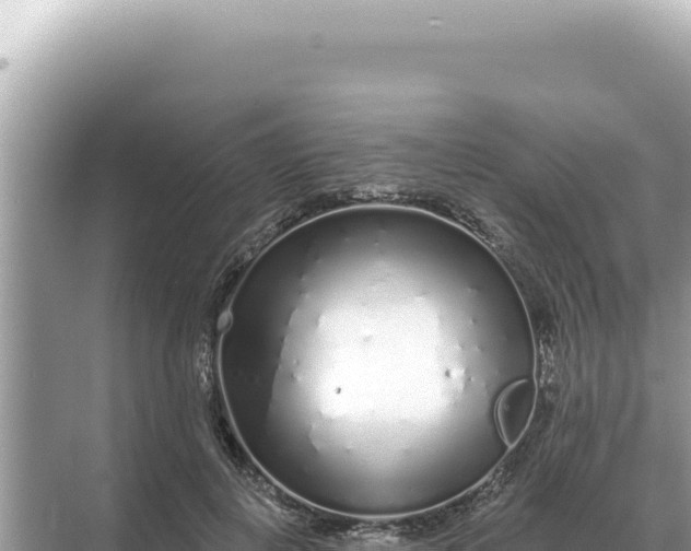 X0000068270648200605051816