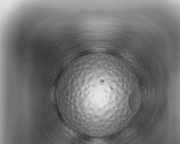 X0000068270649200605051816