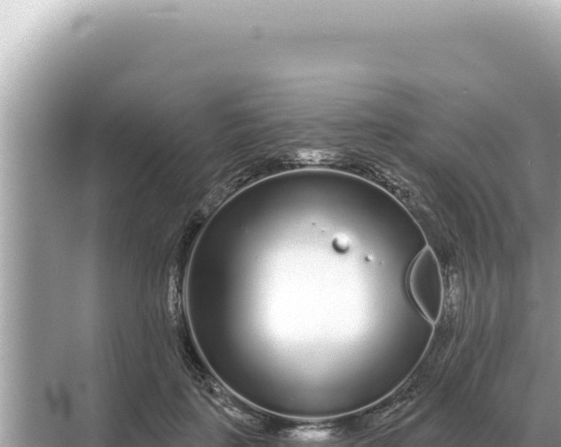 X0000068270651200605051816