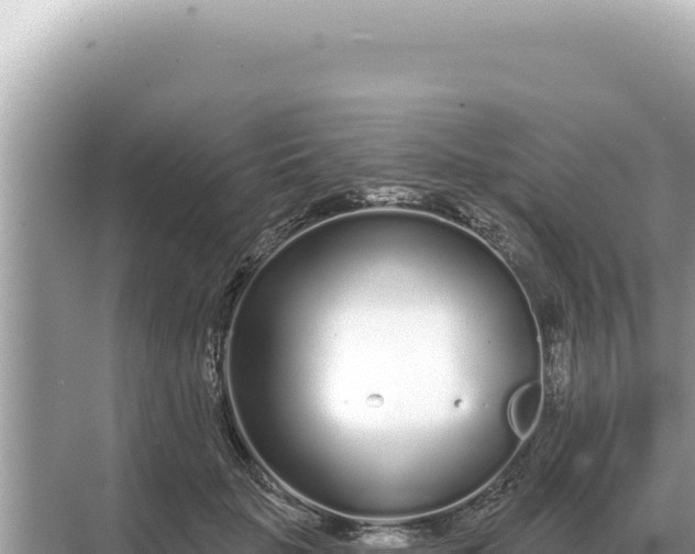 X0000068270653200605051816