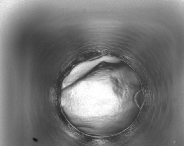 X0000068270654200605051816