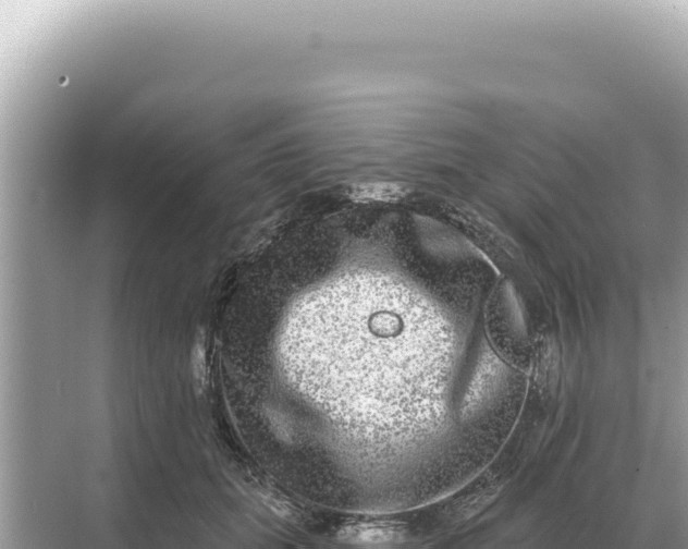 X0000068270655200605051816