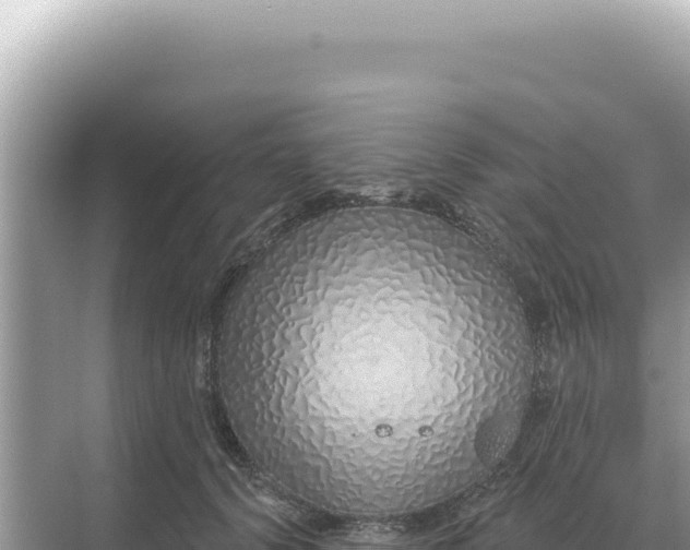 X0000068270656200605051816